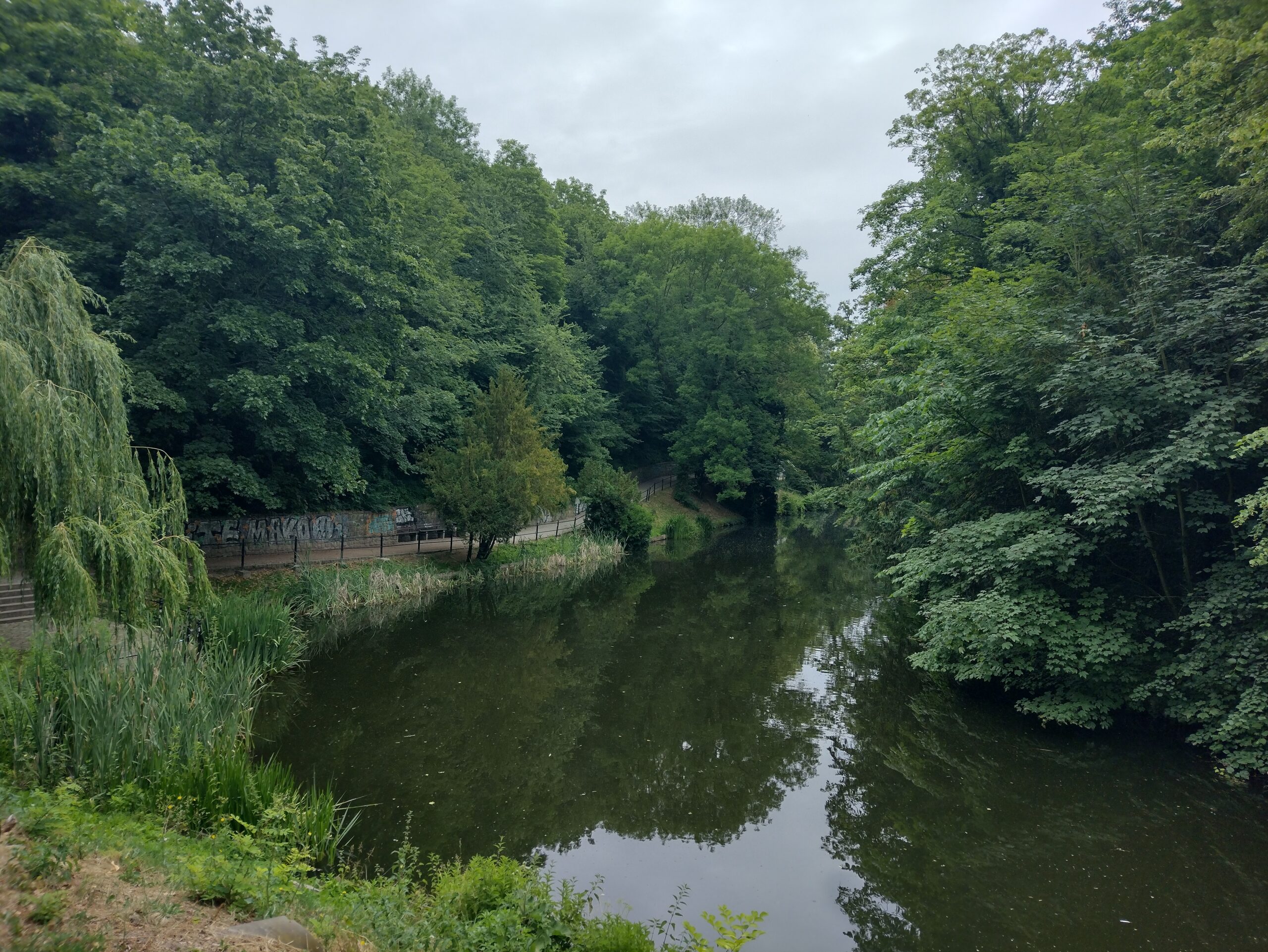IMG_20230629_104338229_HDR