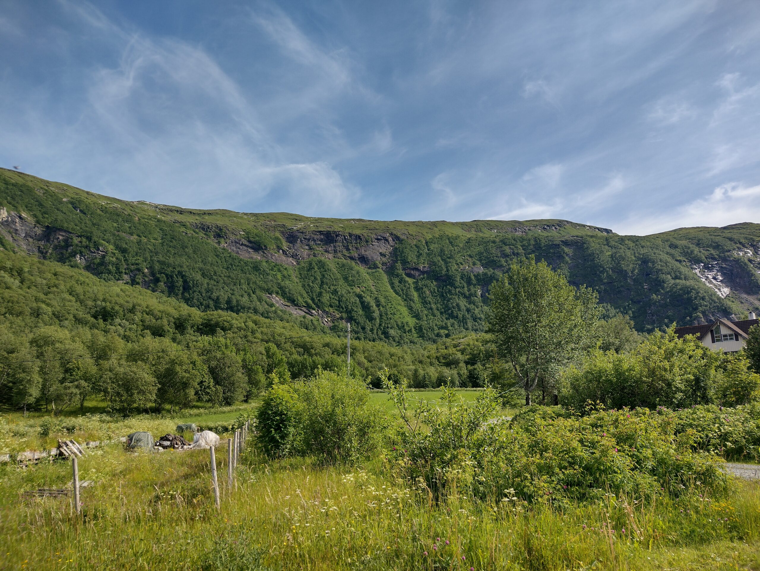 IMG_20230704_160937102_HDR