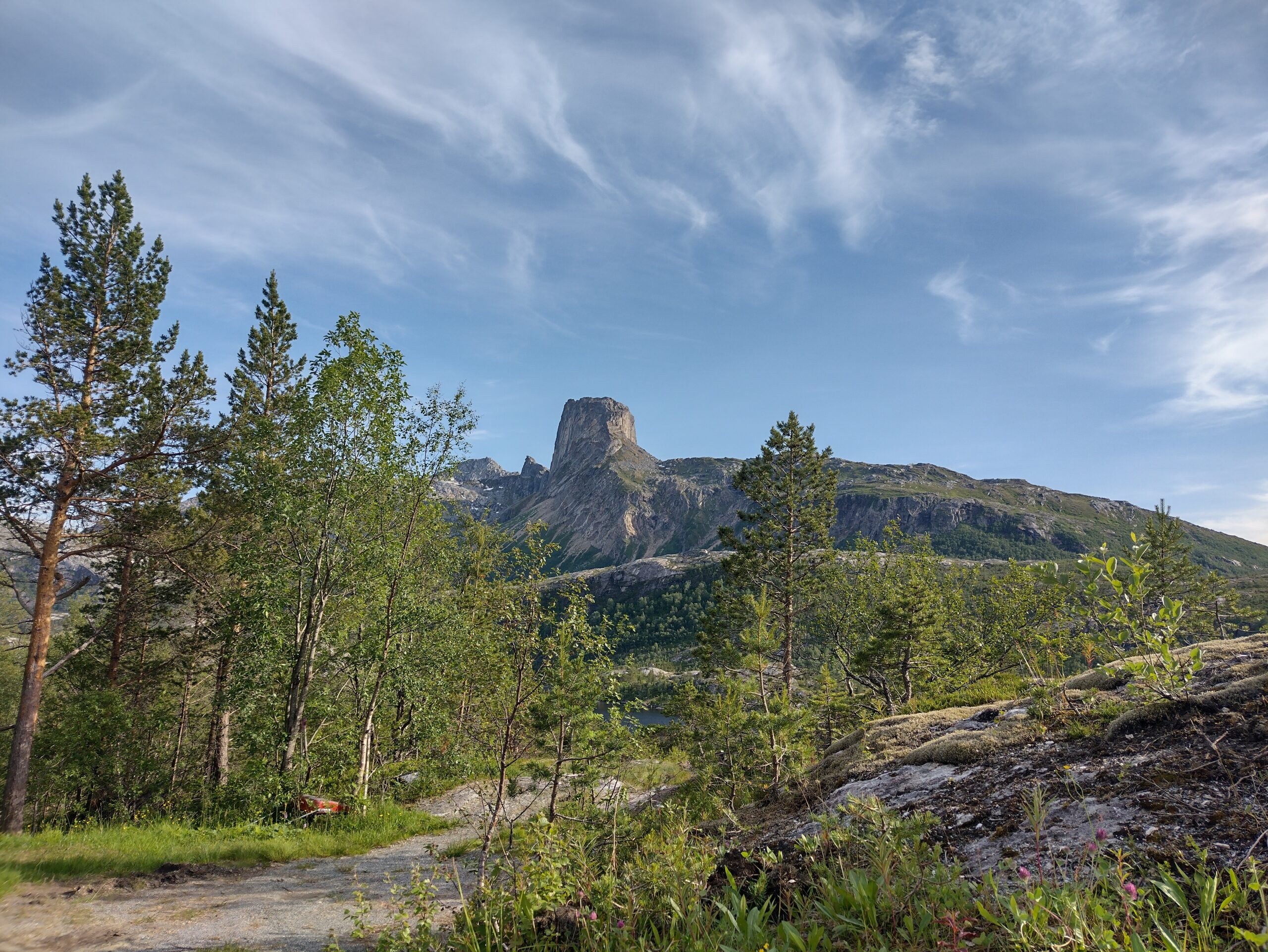 IMG_20230704_175705710_HDR